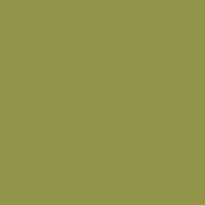 HPL - Abet 1852 Verde Oliva Sei 3050x1300x0,9mm. HPL - Abet 1852 Verde Oliva Sei 3050x1300x0,9mm.