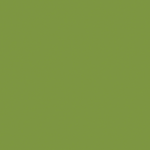 HPL - Abet 1851 Verde Mela Sei 3050x1300x0,9mm. HPL - Abet 1851 Verde Mela Sei 3050x1300x0,9mm.
