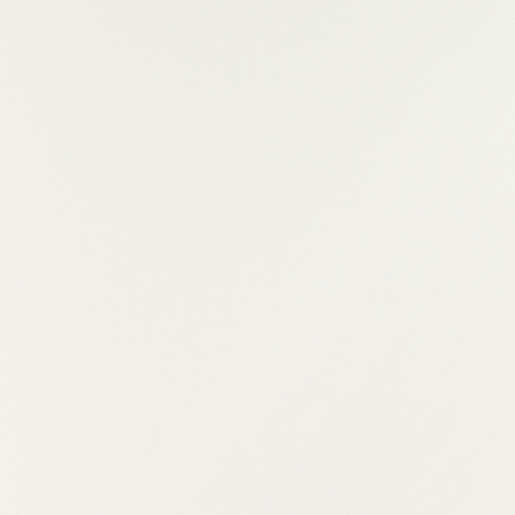 MDF Gemelamineerd V313 Wit Softmat (Blanco S.3) 3050X1220X18MM