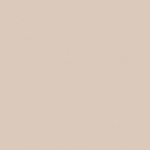 Kaindl CPL 27045 OM Champagne Optimatt 3050X1320X0,8MM