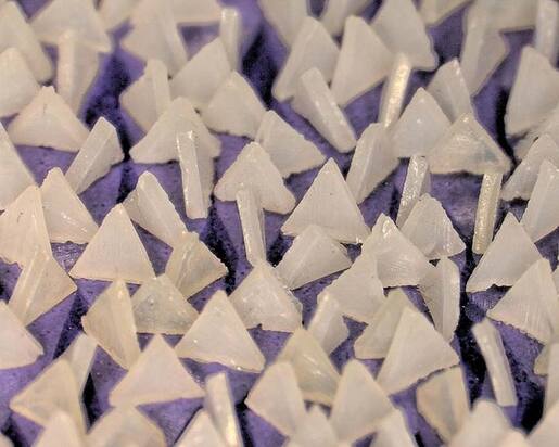 Schijf Giant Turbo RVS 125mm asgat 22mm P80 Doos à 25 ST 