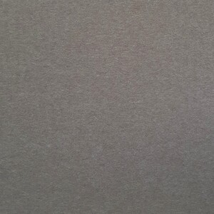 Maigreen® PET-vilt NF-24-027-2820 Taupe Brown 2840X1220X24MM