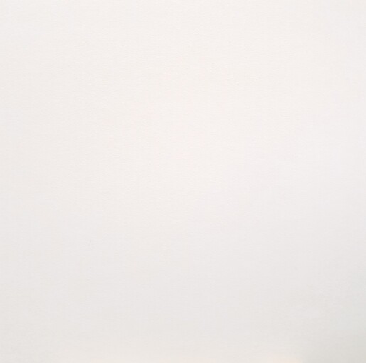 Maigreen® PET-vilt NF-09-039 Off White 2440X1220X9MM