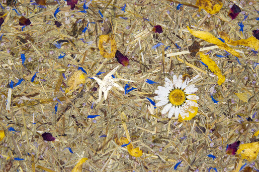 Organoid Natural Surfaces BERGWIESE , Zelfklevende Folie ROL BREEDTE 1360MM