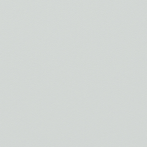 <em class="search-results-highlight">Econ</em> CPL 1024 Lichtgrijs Mat Natuur 3050X1300X0,8MM