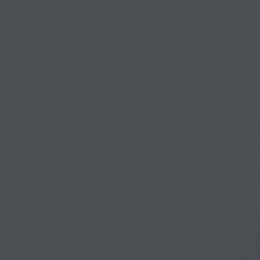 Paneel Econ 1019 Grafietgrijs Parel 2800X400X18MM