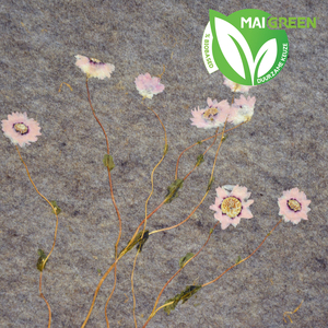 Organoid Natural Surfaces ROSY EVERLASTING (SONNENFLÜGEL), Flax fleece ROL BREEDTE 1200MM