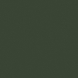 ABS-<em class="search-results-highlight">Band</em> Pfleiderer U19504 (U108) Zucchini MP/SD, Structuur W-257, 23X0,8MM