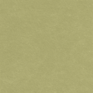 Maigreen® PET-vilt NF-09-057-2820 Meadow Green 2800x1220x9mm 