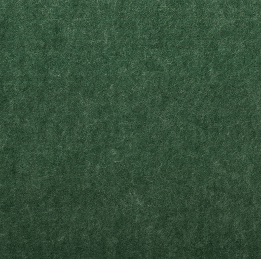 Maigreen® PET-vilt NF-24-042-2820 Fern Green 2840X1220X24MM